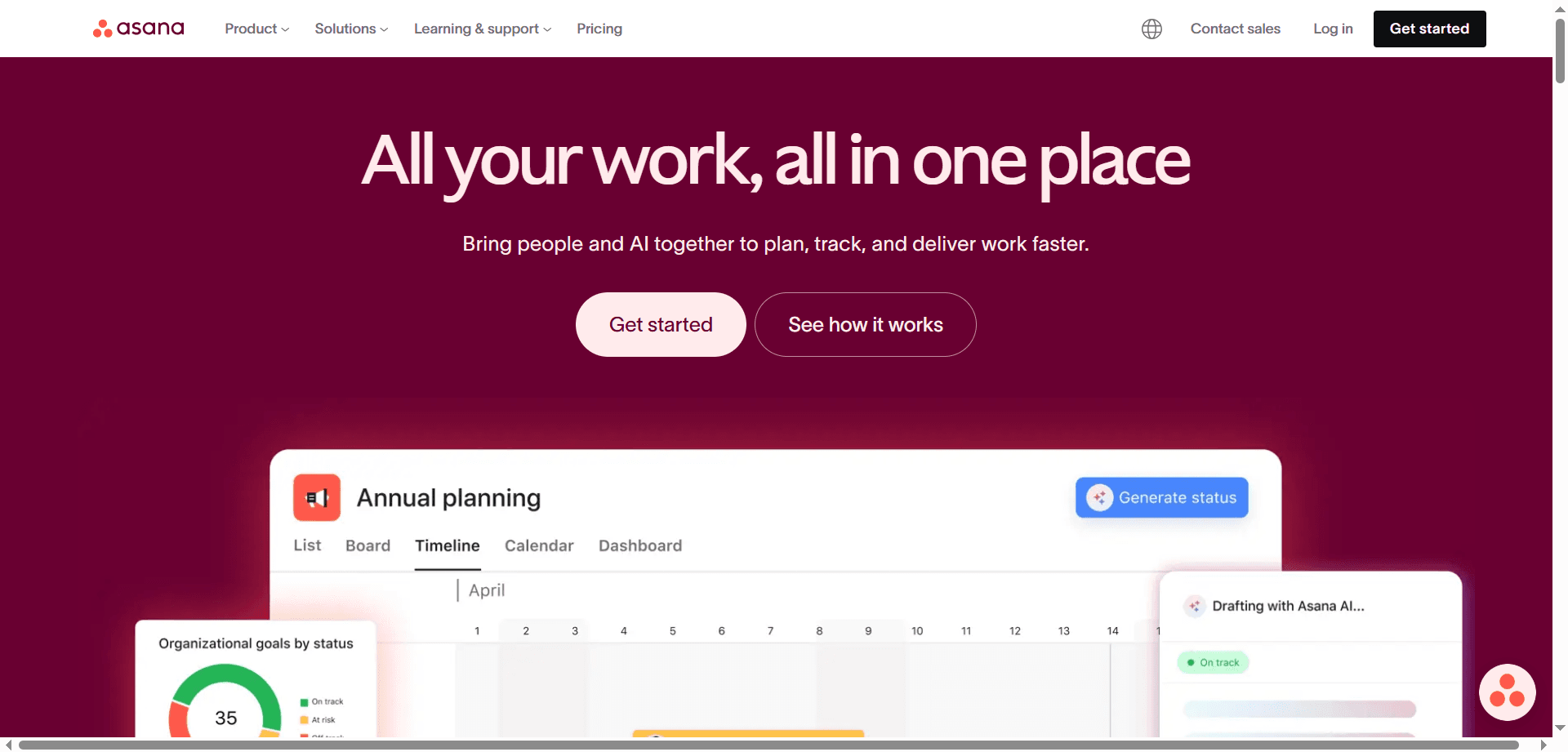 Asana Tool Interface