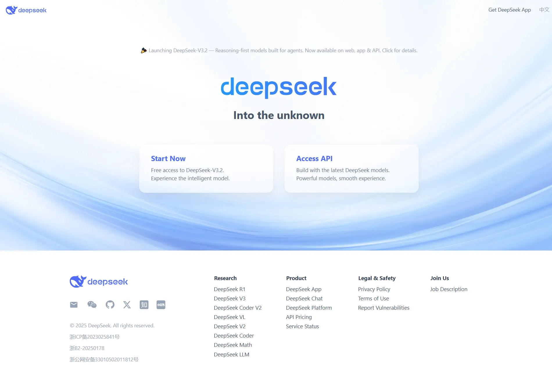 DeepSeek AI Tool Interface