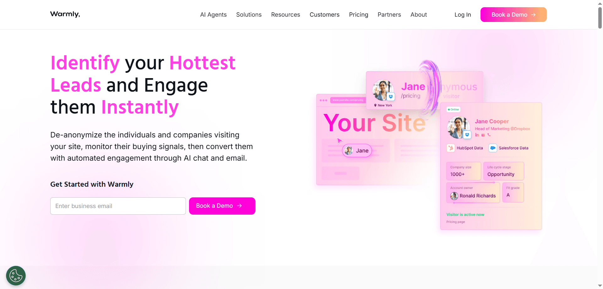 Warmly Visitor Intelligence Platform